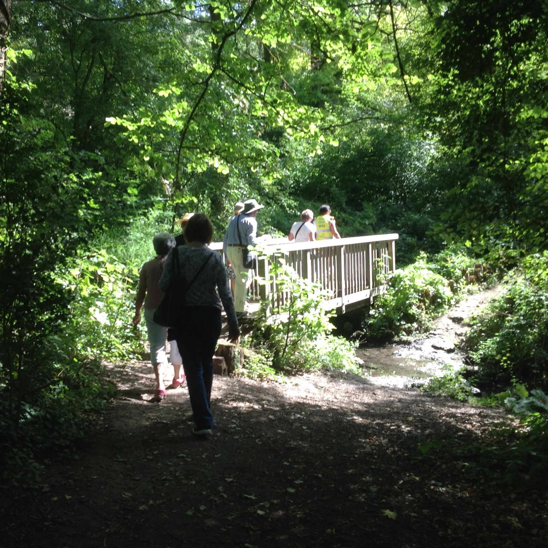 A wooden bridge across a stream, surrounded by woodlands